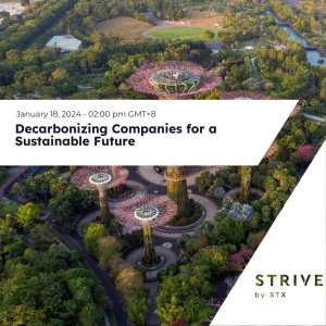 Decarbonizing Companies for a Sustainable Future