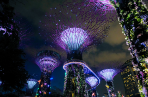 Singapore’s Carbon Tax: A Step Towards A Greener Future