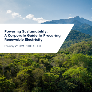 Powering Sustainability: A Corporate Guide to Procuring Renewable Electricity