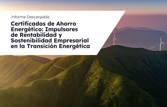 Certificados de Ahorro Energético: Impulsores de Rentabilidad y Sostenibilidad Empresarial en la Transición Energética