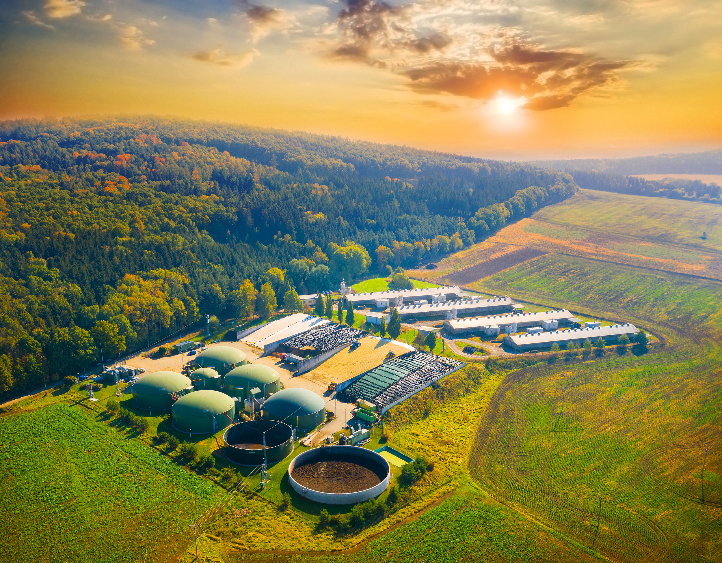 Biogas plant and farm in fields. Renewable energy from biomass.