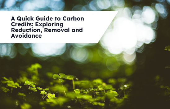 A Quick Guide to Carbon Credits: Exploring Reduction, Removal and Avoidance