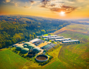 Accelerating Decarbonization with Biomethane in Hard-to-Abate Sectors