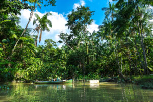 What to Expect from COP30