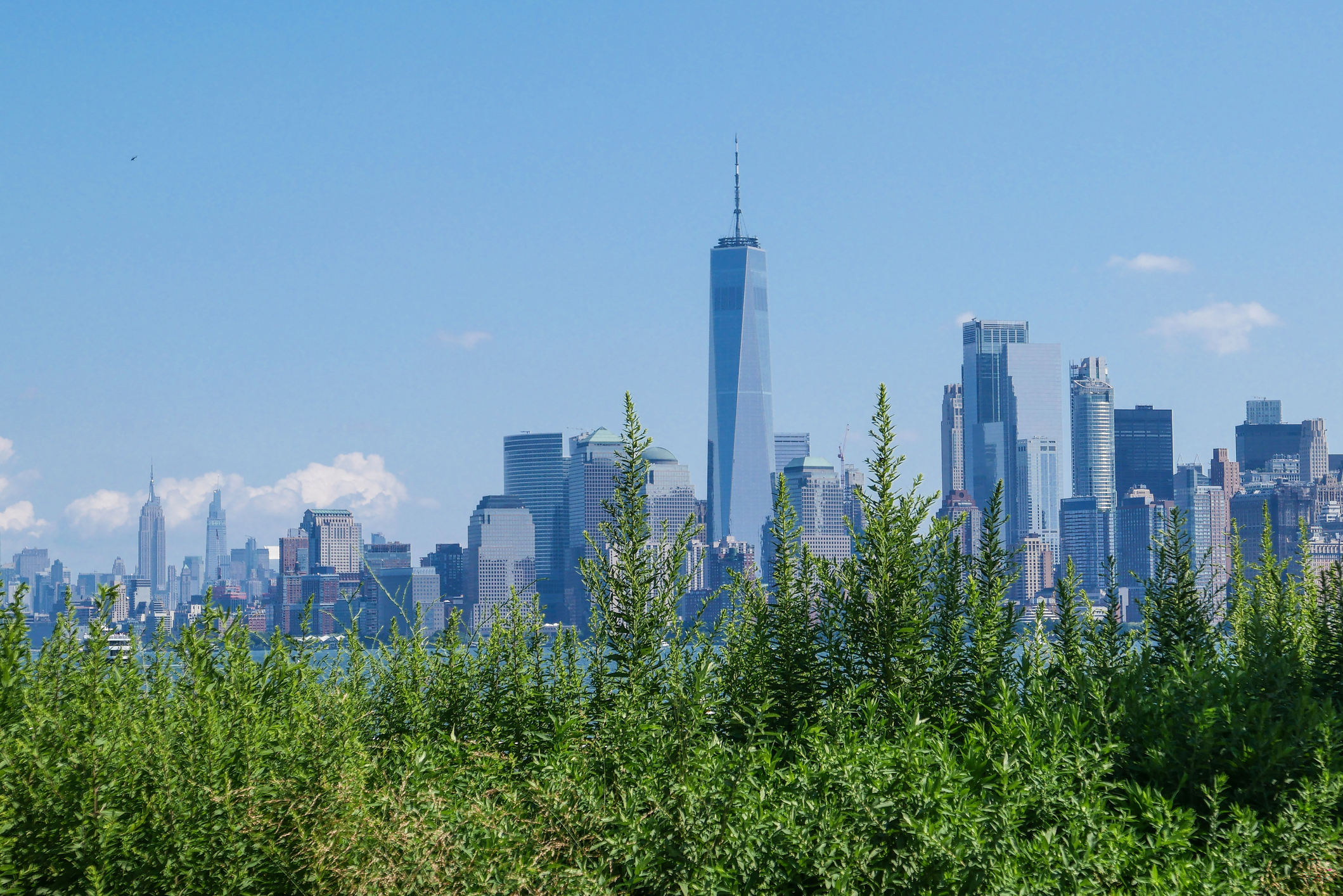 Climate Week NYC 2024: Policy, Innovation, and Economic Impact Review