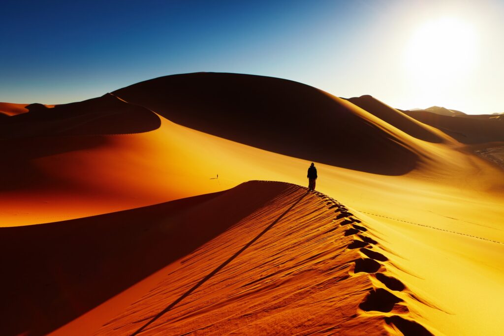 climate solutions for corporates