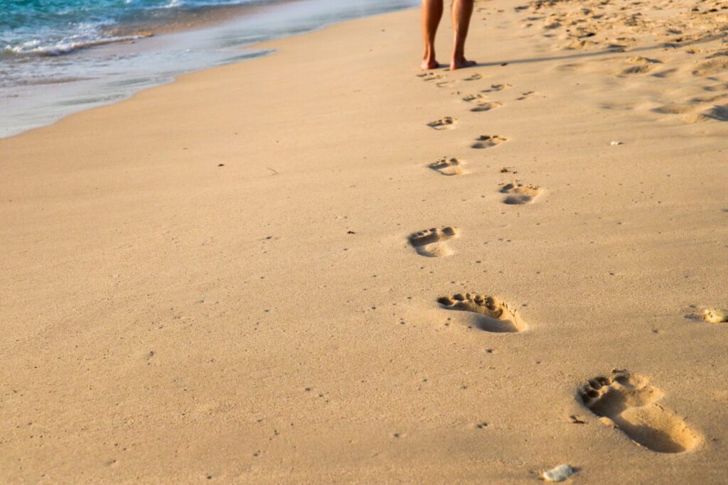 carbon footprint calculation