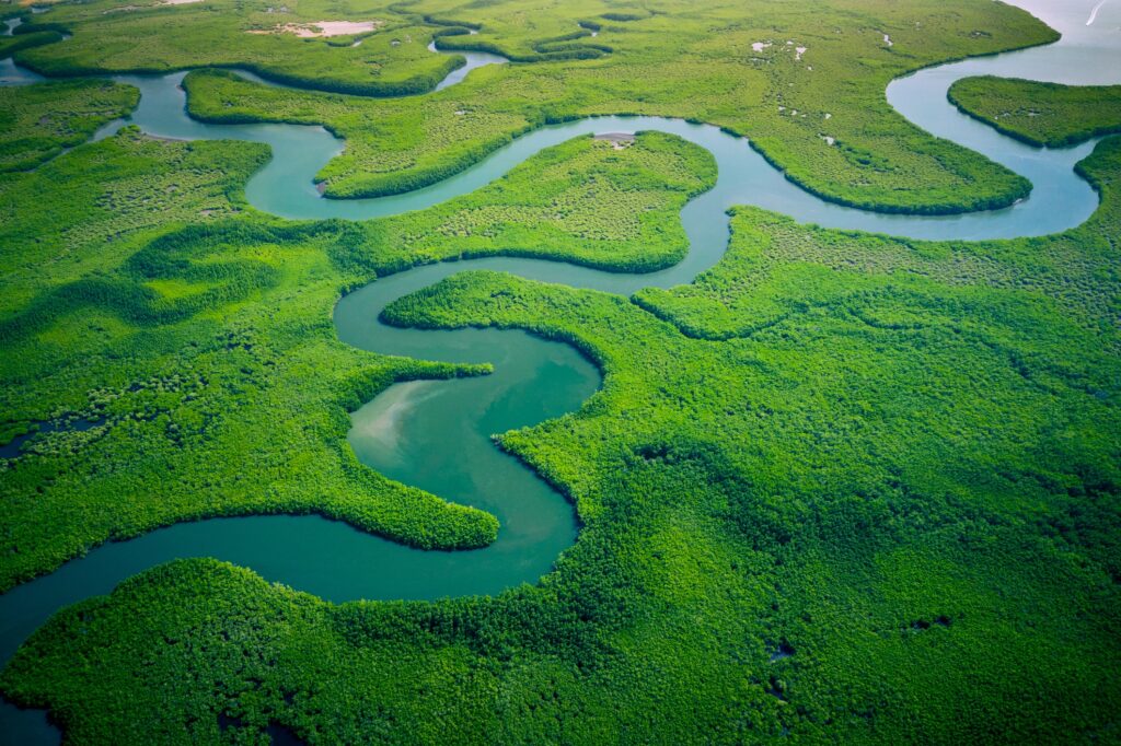 voluntary carbon credits