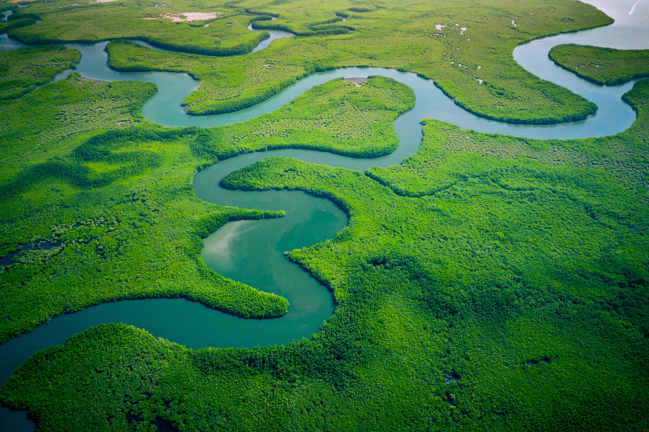 voluntary carbon credits