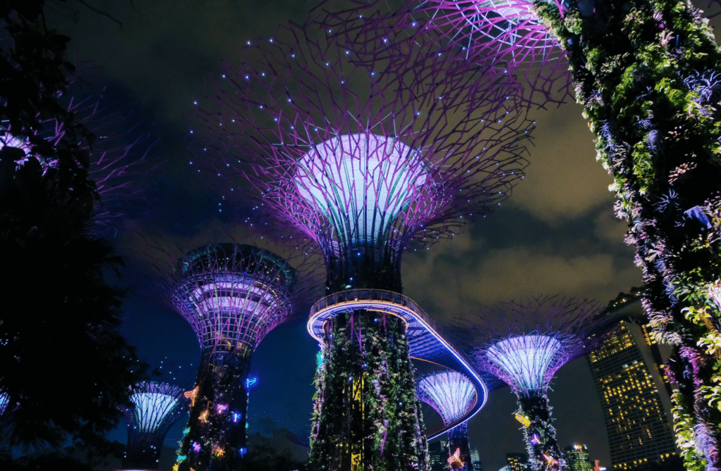 singapore carbon tax 2