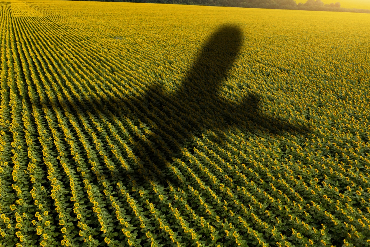 Shadow of the plane on the agricultural field. Concept of decarbonization and biofuel