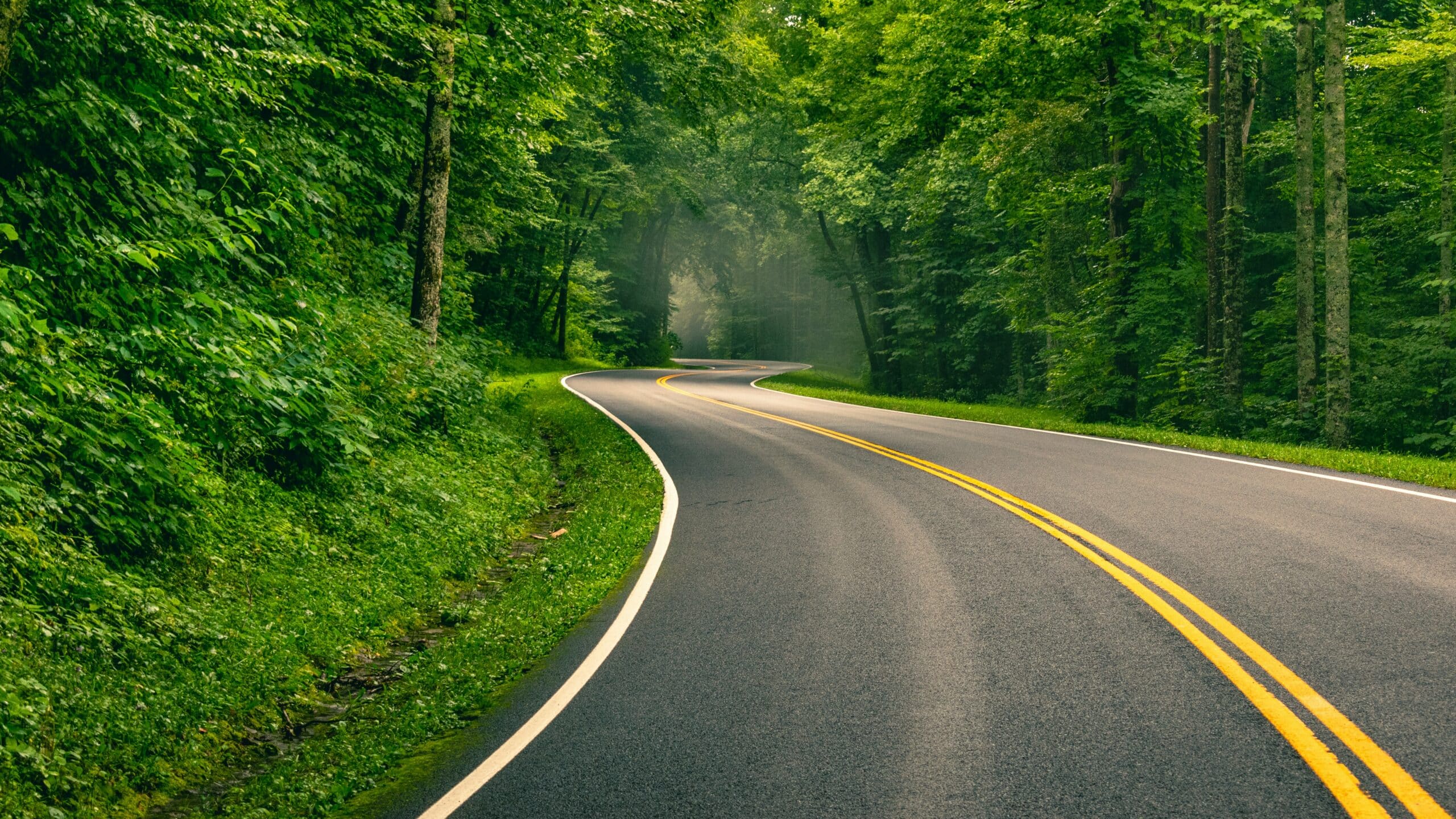 brandon frie rdHeGGn7rwQ unsplash