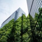 Flat green trees