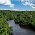 voluntary emission reductions